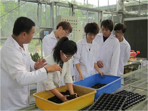Department of Biotechnology:Biological experiments